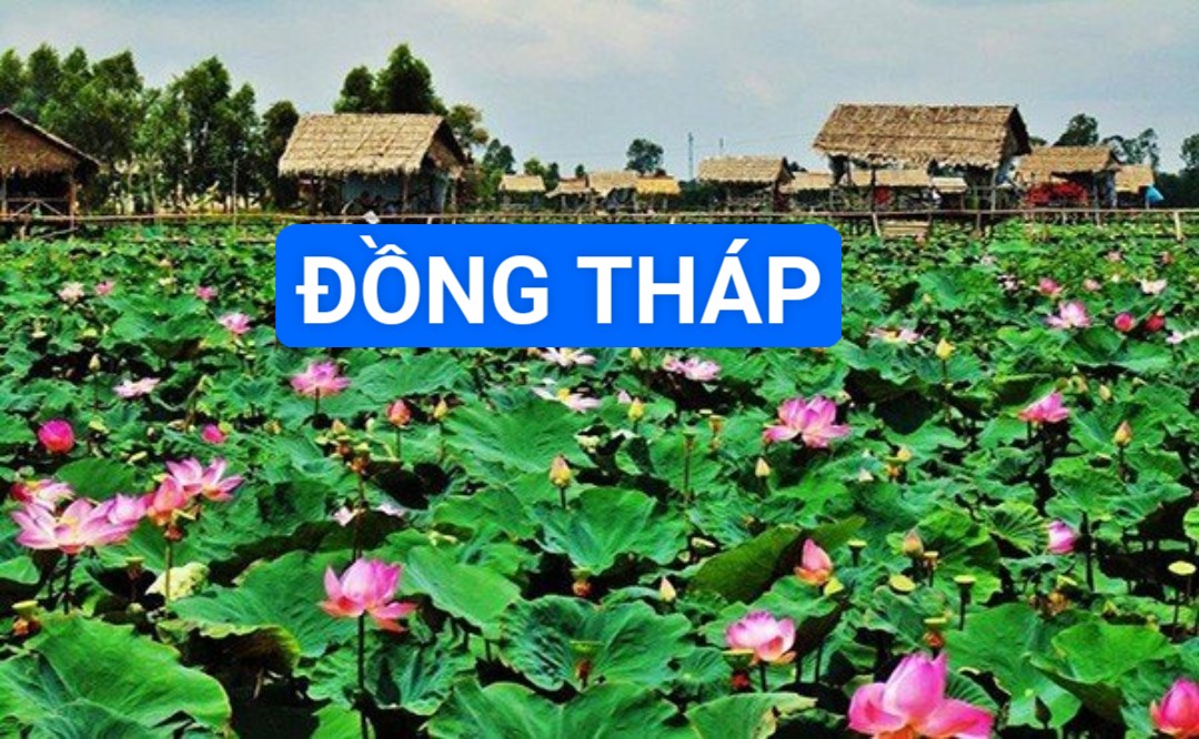 Z4360102133393_7c0a277e2891e5367a14a2d34148cc87